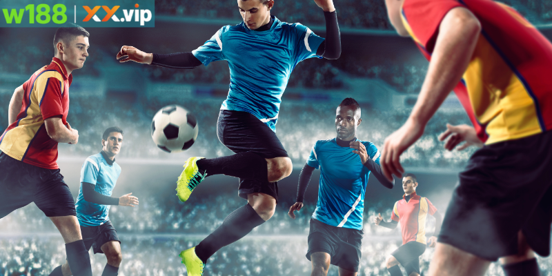 Cách đặt cược kèo 1/4 đơn giản